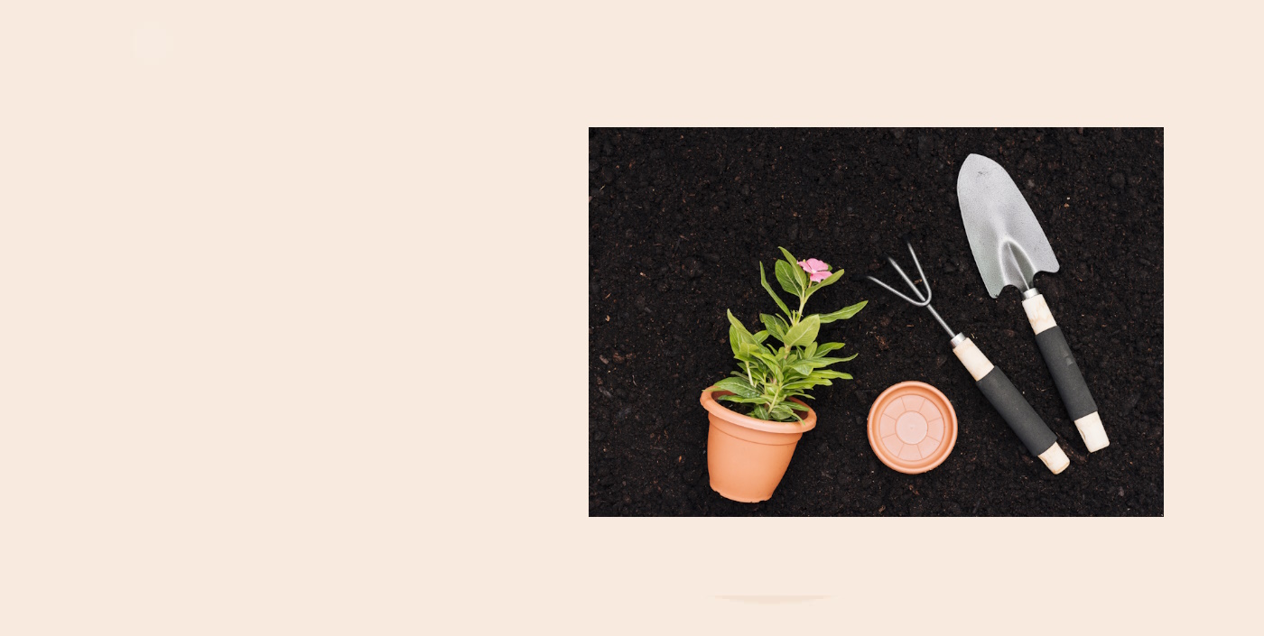 Natural Fertilizer Vermicompost