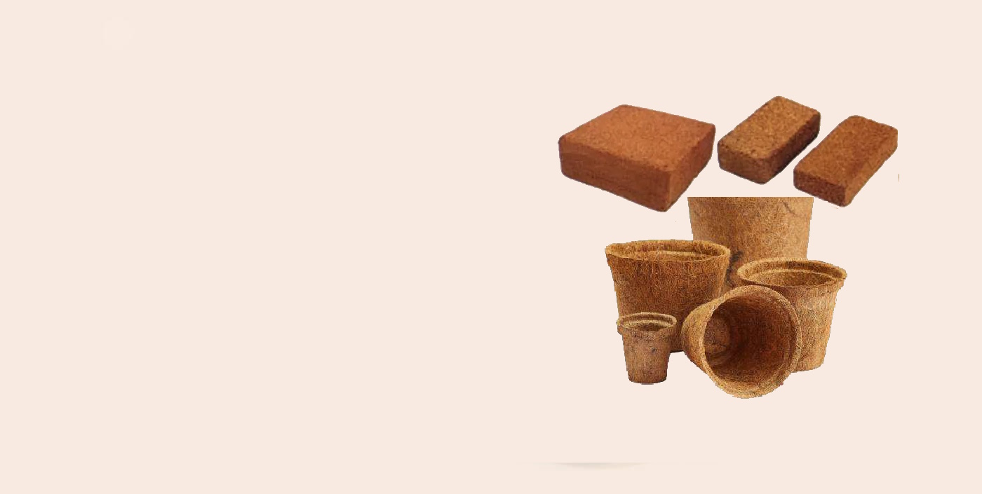 Green EssentialsAccessories